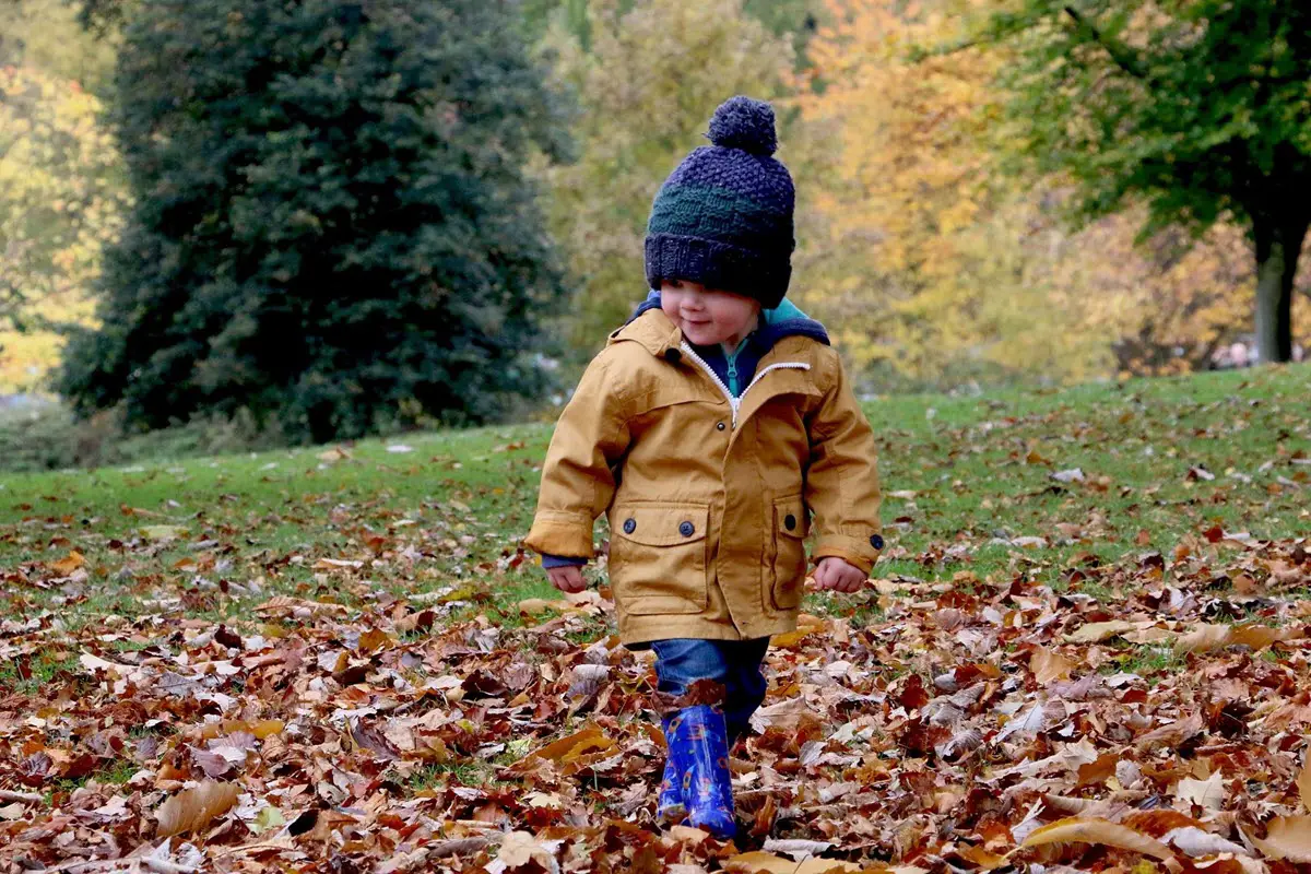Little boy in blue gumboots walking in fallen leaves