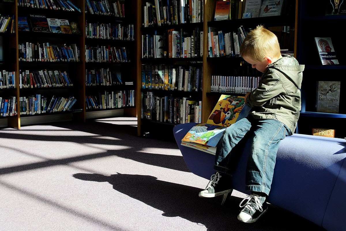 Young preschooler boy in library looking at a picture book