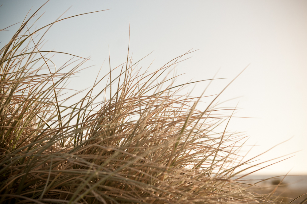 Mindfulness through the lens of a camera